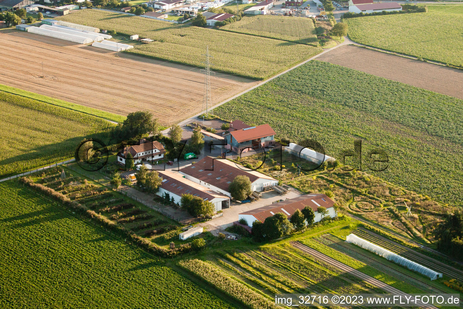 Minfeld, Schoßberghof im Bundesland Rheinland-Pfalz, Deutschland aus der Drohnenperspektive