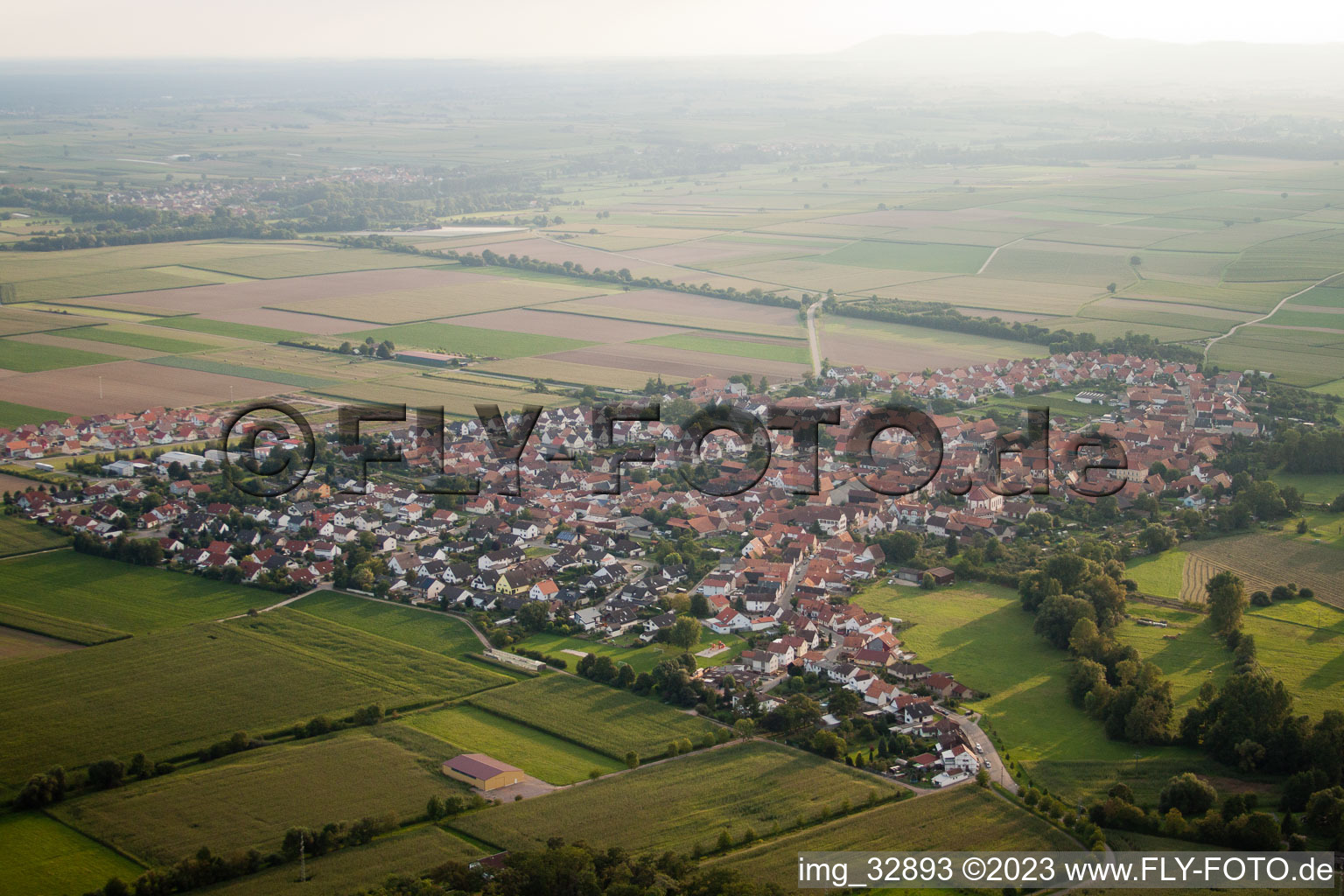 Steinweiler im Bundesland Rheinland-Pfalz, Deutschland von einer Drohne aus