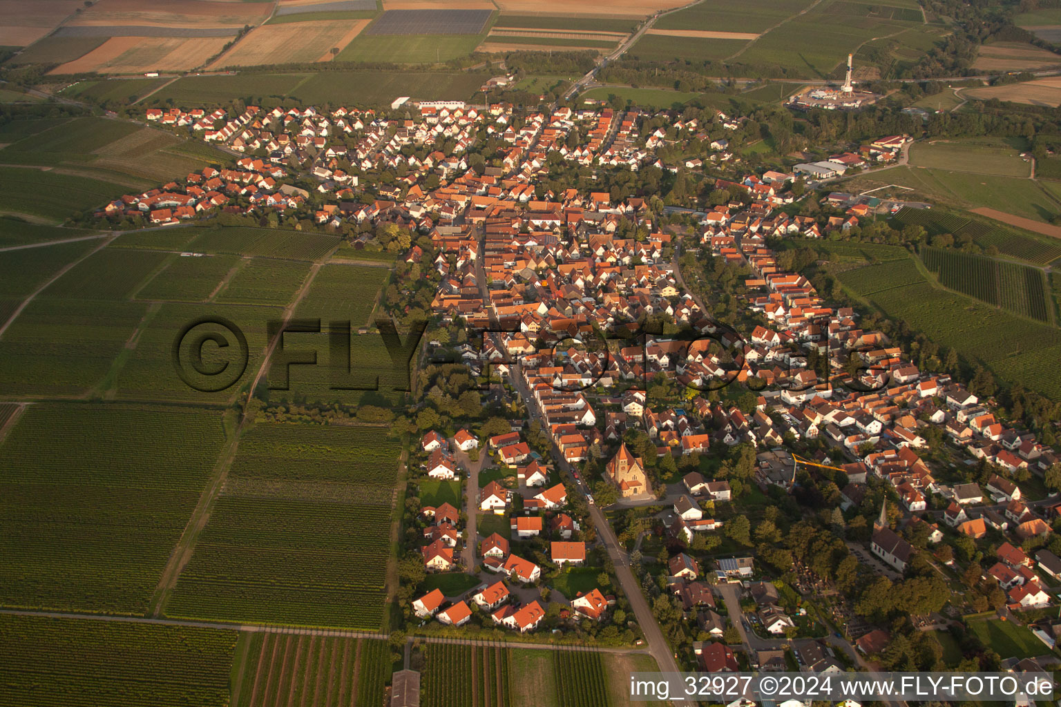 Luftaufnahme von Dorf - Ansicht in Insheim im Bundesland Rheinland-Pfalz, Deutschland