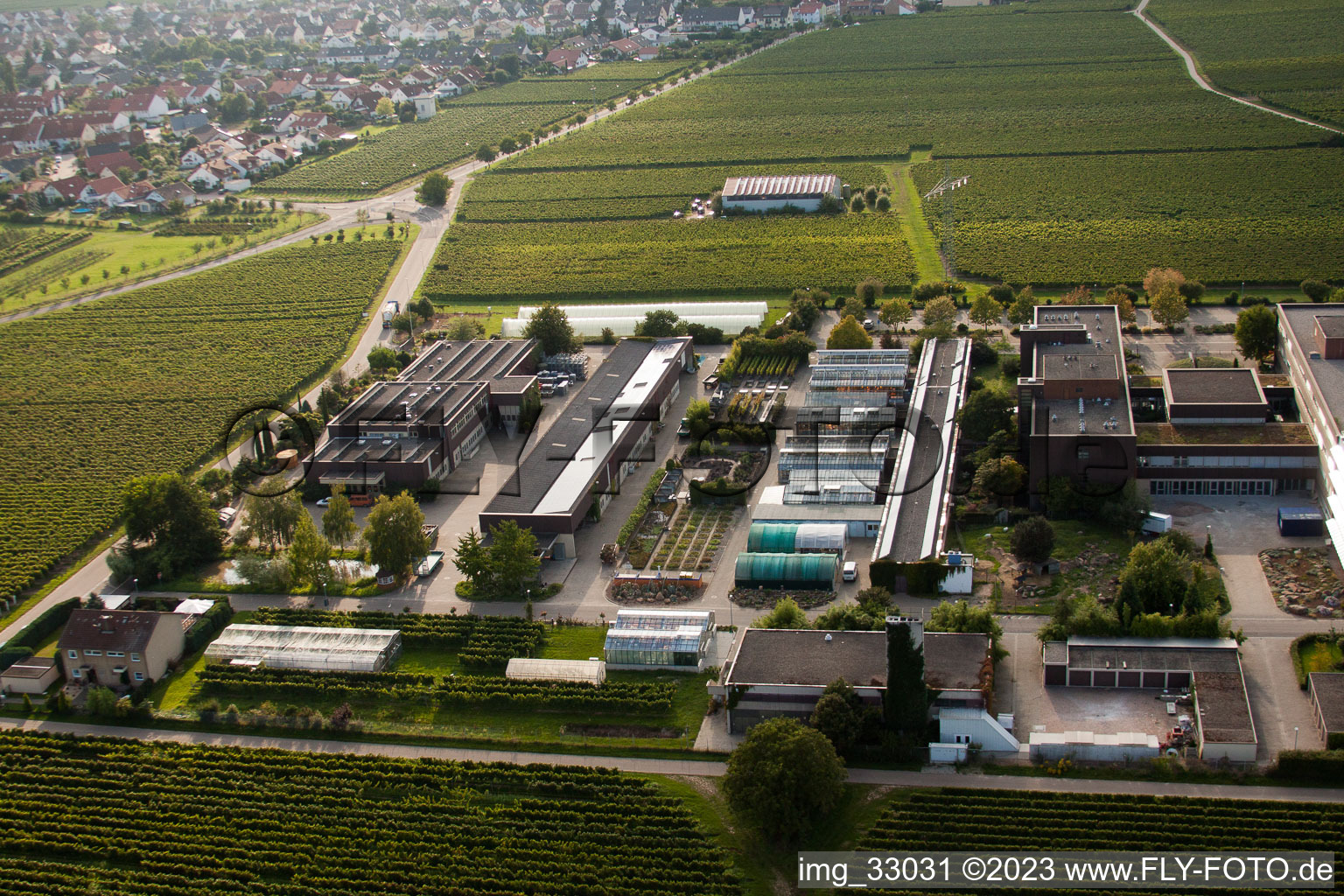 RLP Agroscience im Ortsteil Mußbach in Neustadt an der Weinstraße im Bundesland Rheinland-Pfalz, Deutschland von oben