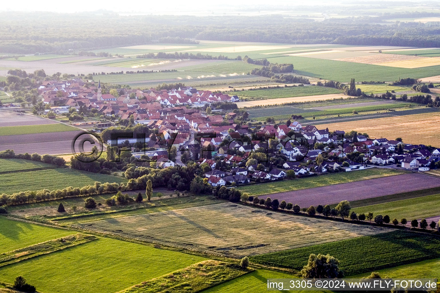 Luftbild von Von Südosten in Erlenbach bei Kandel im Bundesland Rheinland-Pfalz, Deutschland