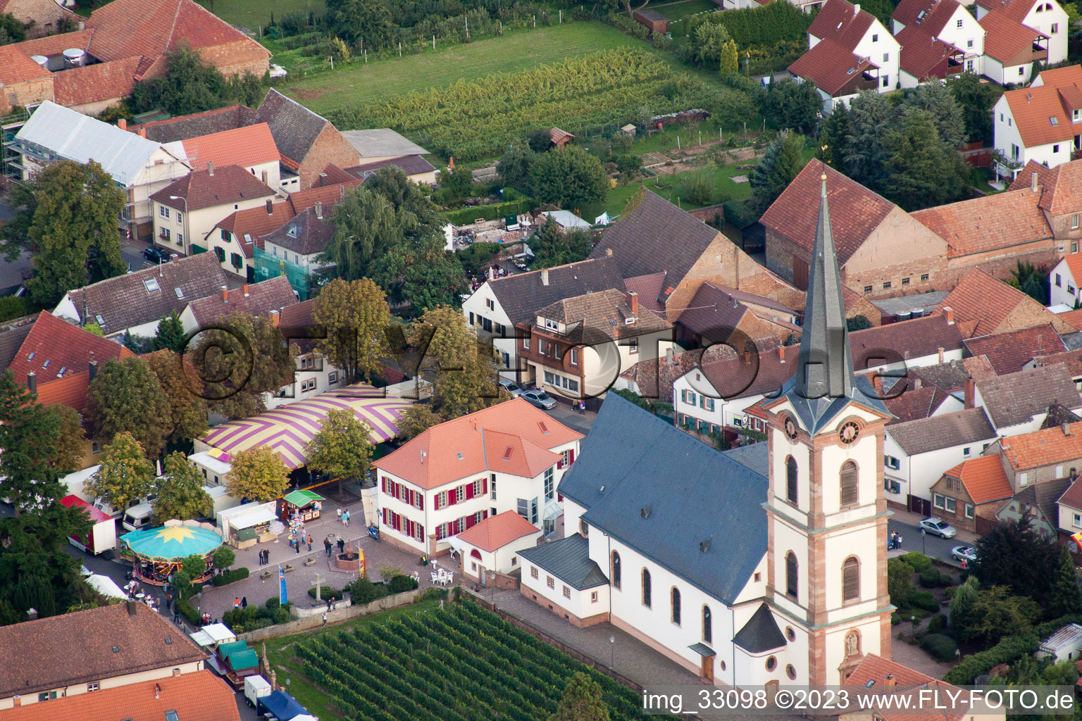 Edesheim im Bundesland Rheinland-Pfalz, Deutschland aus der Luft betrachtet
