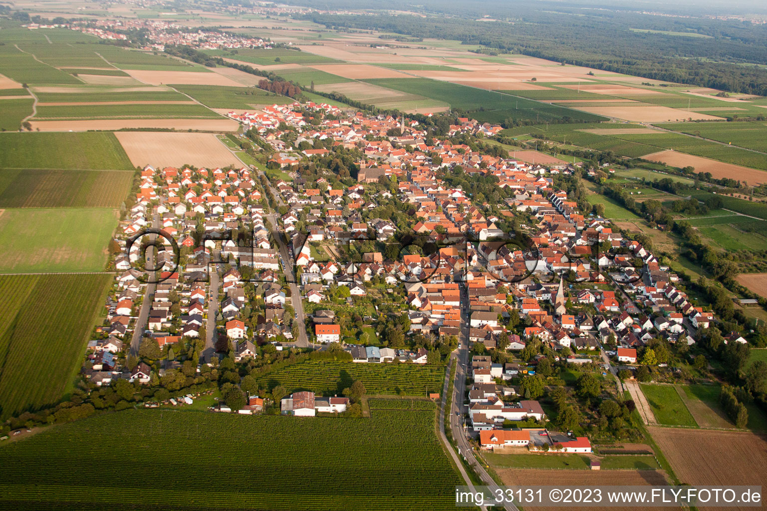 Essingen im Bundesland Rheinland-Pfalz, Deutschland aus der Drohnenperspektive