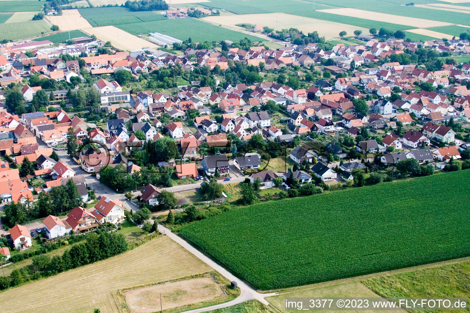 Luftbild von Minfeld, Im Leisegarten im Bundesland Rheinland-Pfalz, Deutschland
