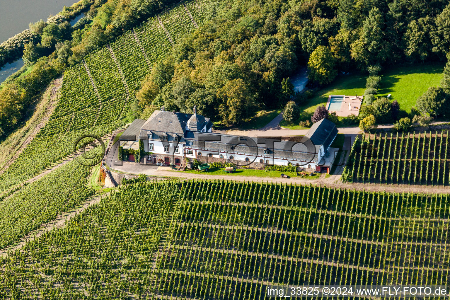 Weinbergs- Landschaft mit Weingut Schloss Saarstein über der Saar in Serrig im Bundesland im Bundesland Rheinland-Pfalz, Deutschland