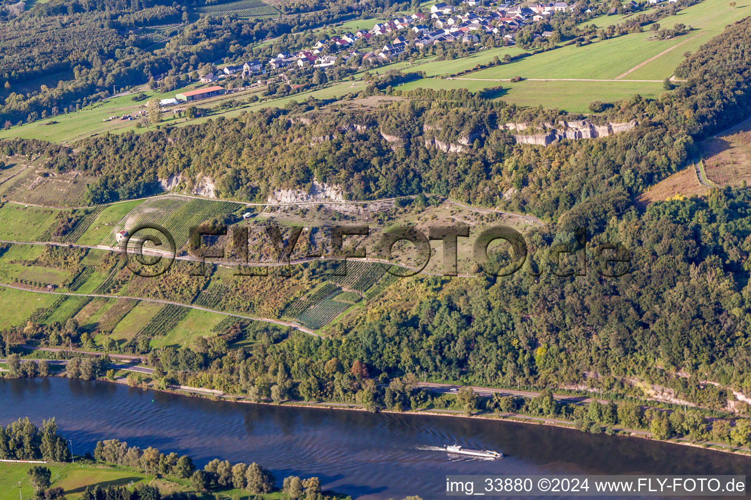 Steiler Weinbergshang am Ufer der Mosel im Ortsteil Liersberg in Igel im Bundesland Rheinland-Pfalz, Deutschland
