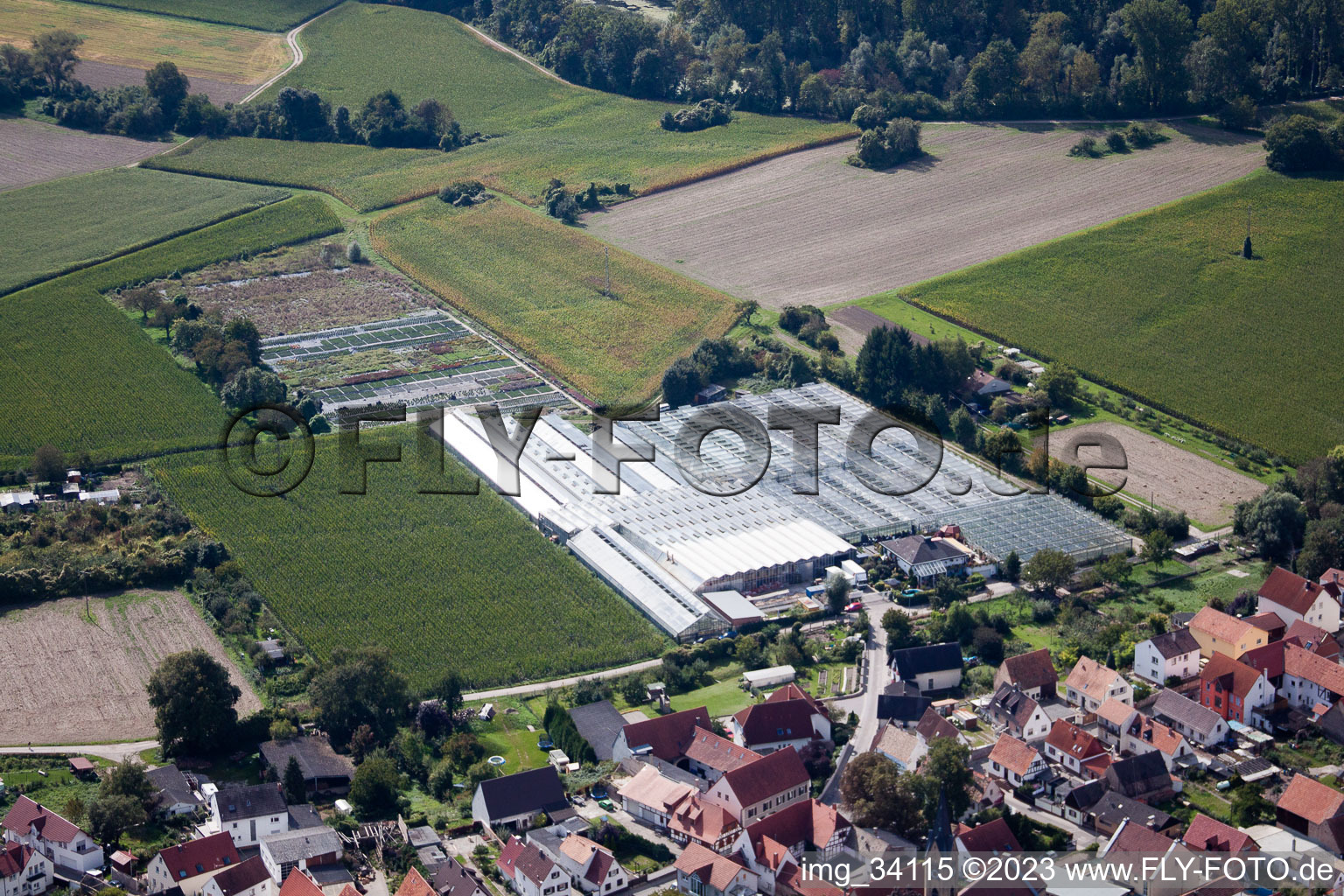 Luftaufnahme von Sondernheim, Gärtnerei an der Ziegelstr in Germersheim im Bundesland Rheinland-Pfalz, Deutschland