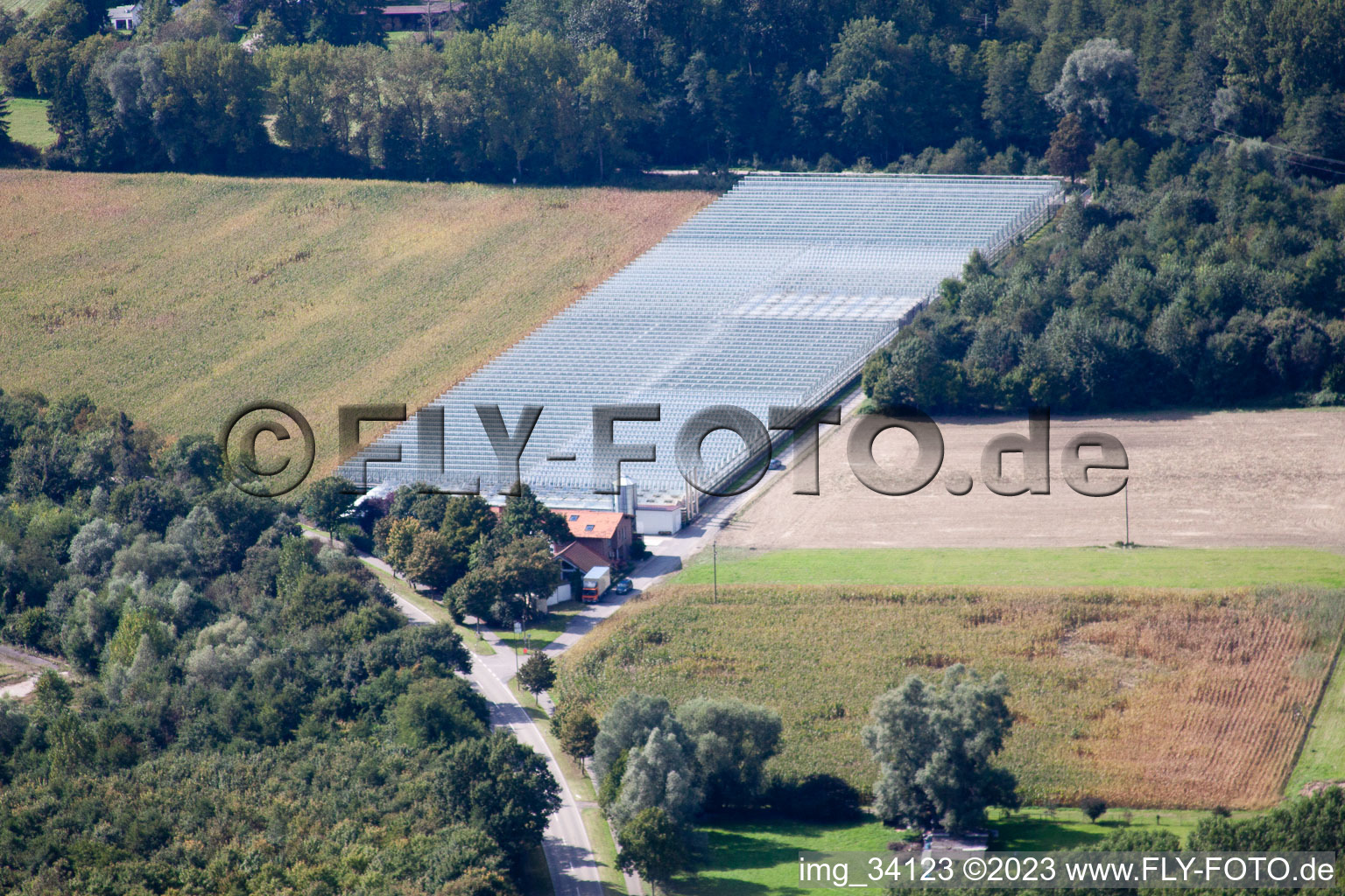 Luftbild von Sondernheim, Gärtnerei Klaus u. Frank Mildenberger in Germersheim im Bundesland Rheinland-Pfalz, Deutschland