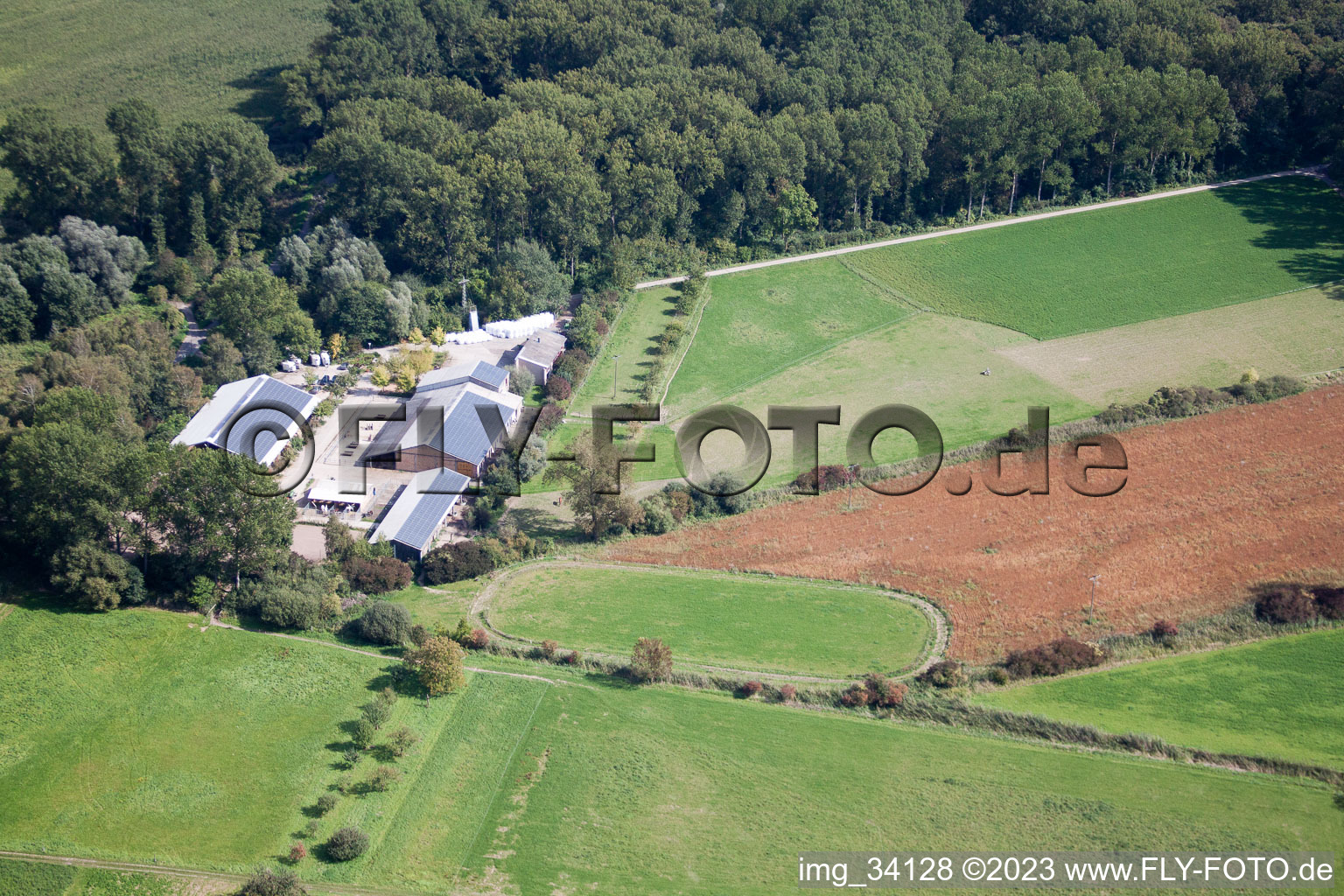 Sondernheim, Kennelhof in Germersheim im Bundesland Rheinland-Pfalz, Deutschland von oben gesehen