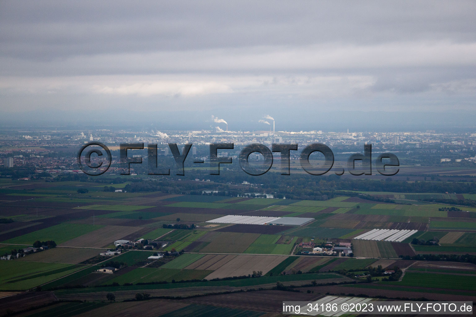 Mutterstadt im Bundesland Rheinland-Pfalz, Deutschland aus der Luft betrachtet