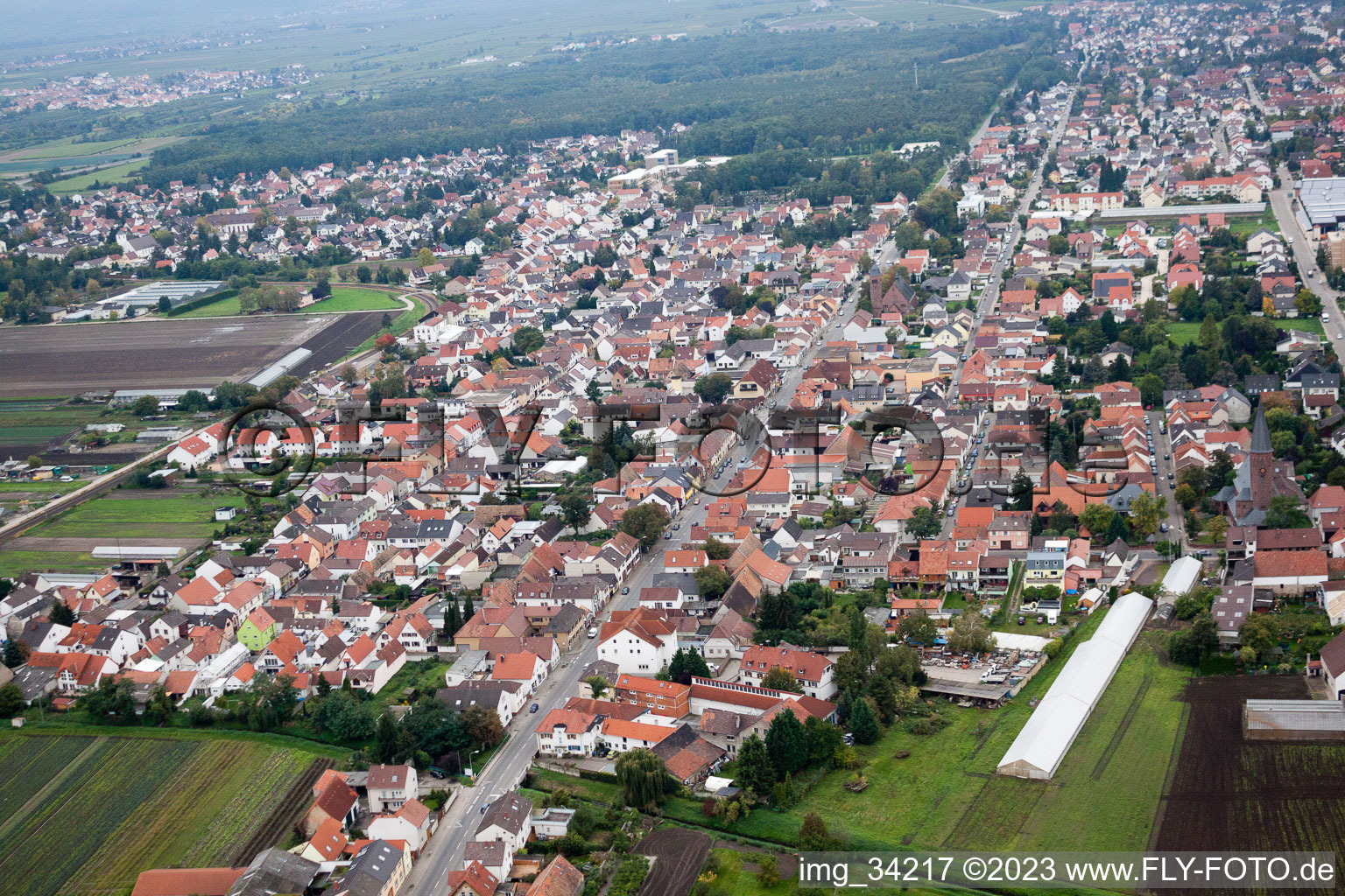 Maxdorf im Bundesland Rheinland-Pfalz, Deutschland vom Flugzeug aus