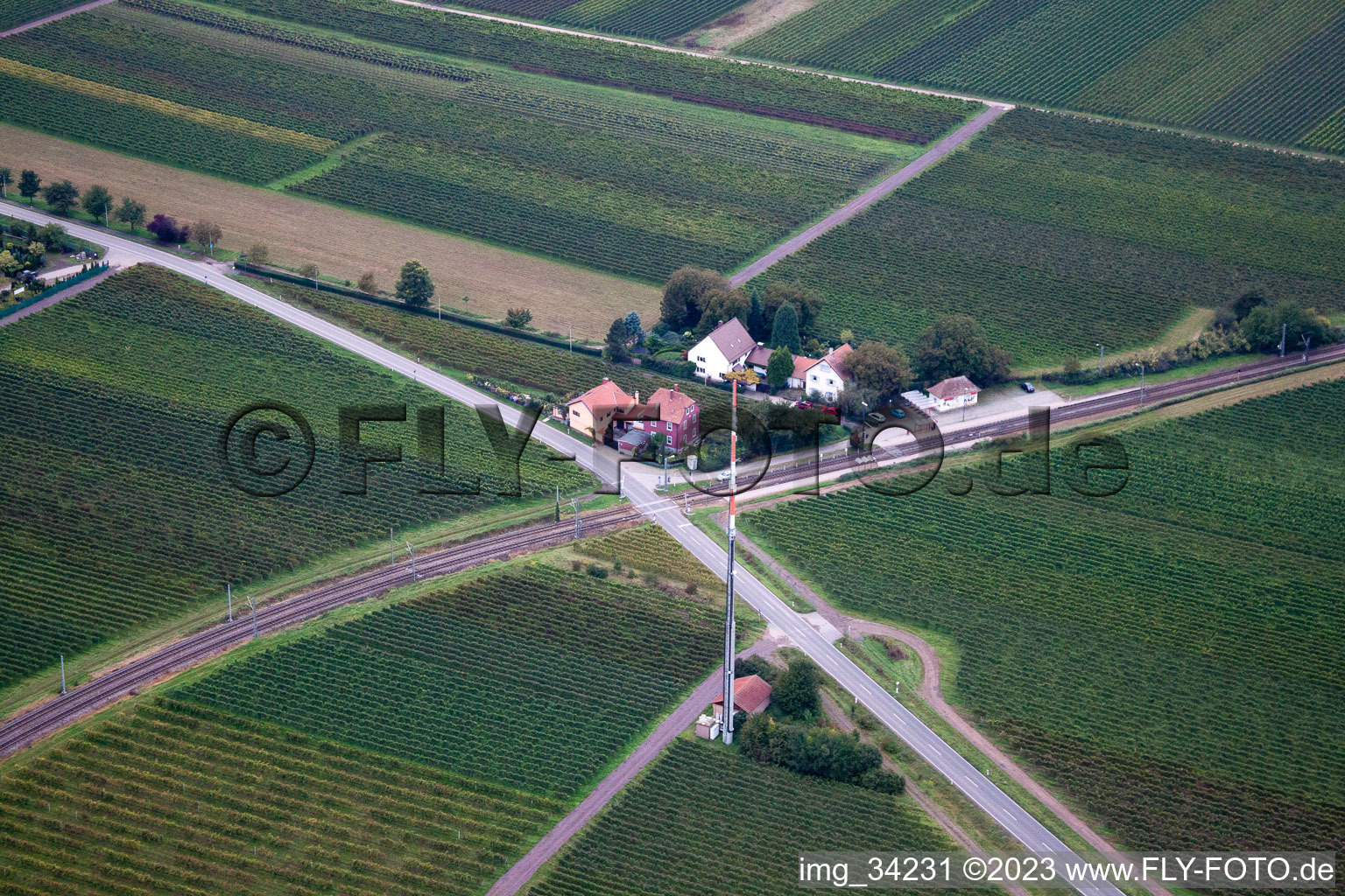 Gönnheim im Bundesland Rheinland-Pfalz, Deutschland aus der Drohnenperspektive