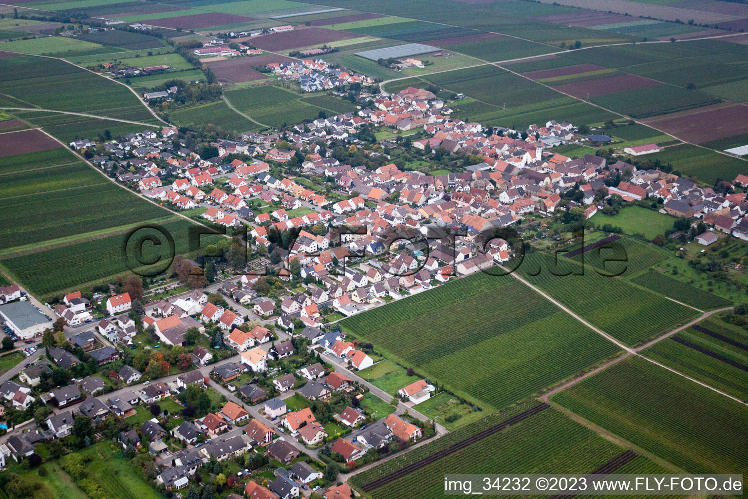 Friedelsheim im Bundesland Rheinland-Pfalz, Deutschland vom Flugzeug aus