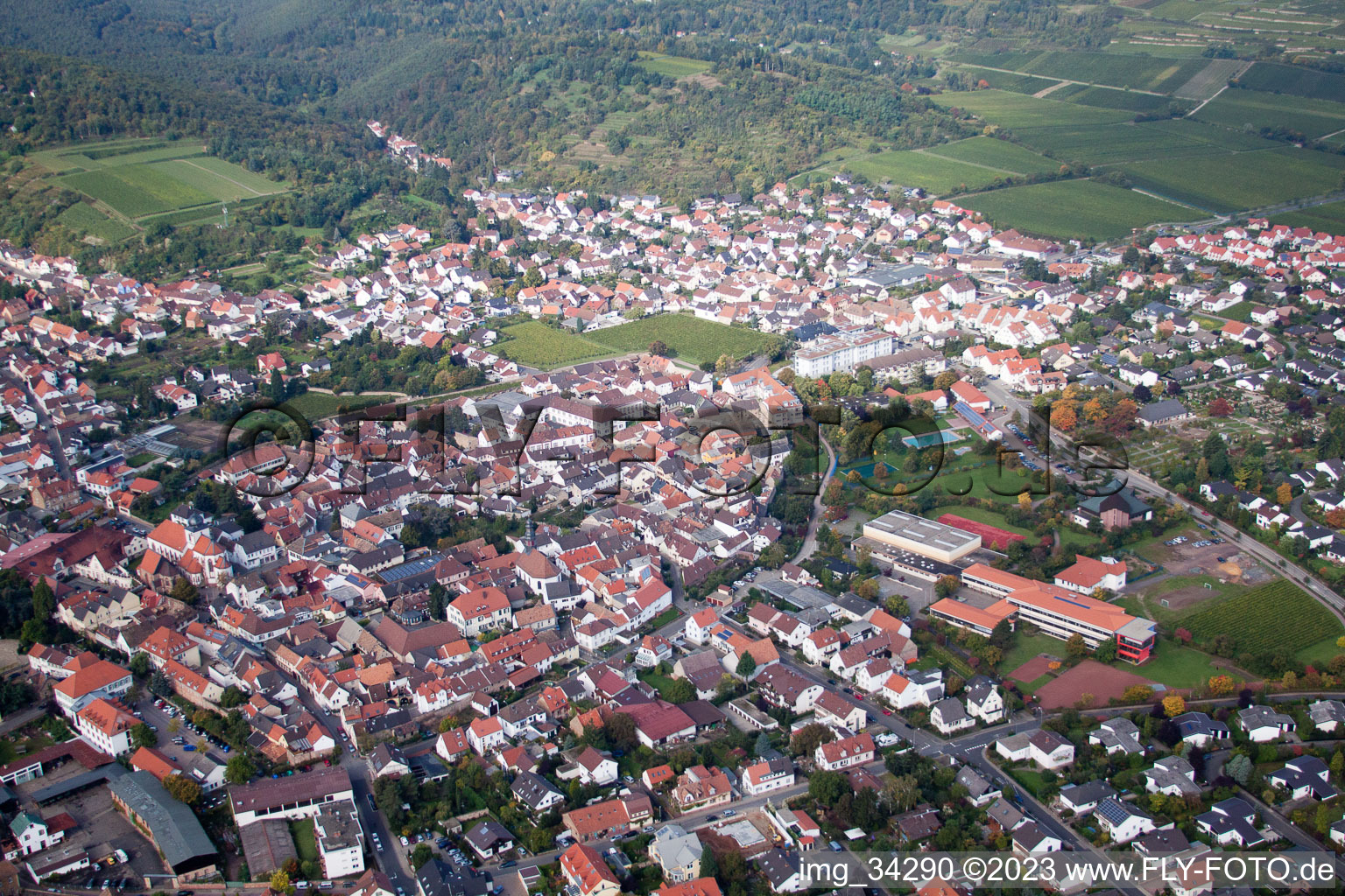 Luftbild von Wachenheim an der Weinstraße im Bundesland Rheinland-Pfalz, Deutschland