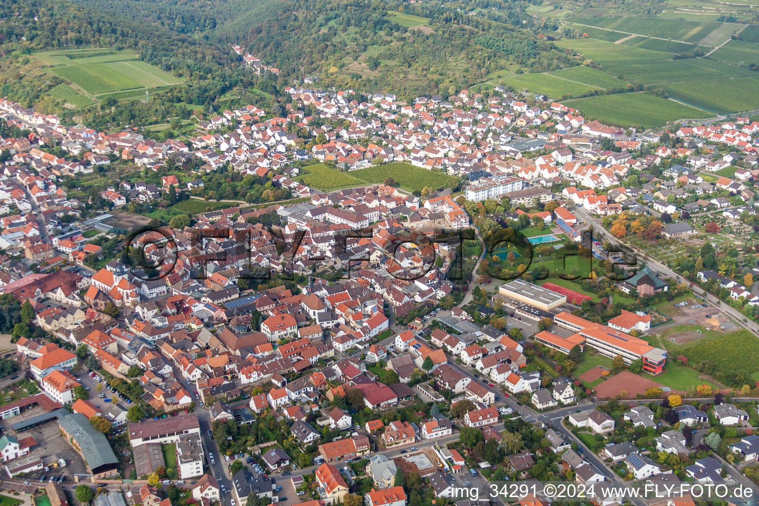 Luftaufnahme von Ortsansicht der Straßen und Häuser der Wohngebiete in Wachenheim an der Weinstraße im Bundesland Rheinland-Pfalz, Deutschland