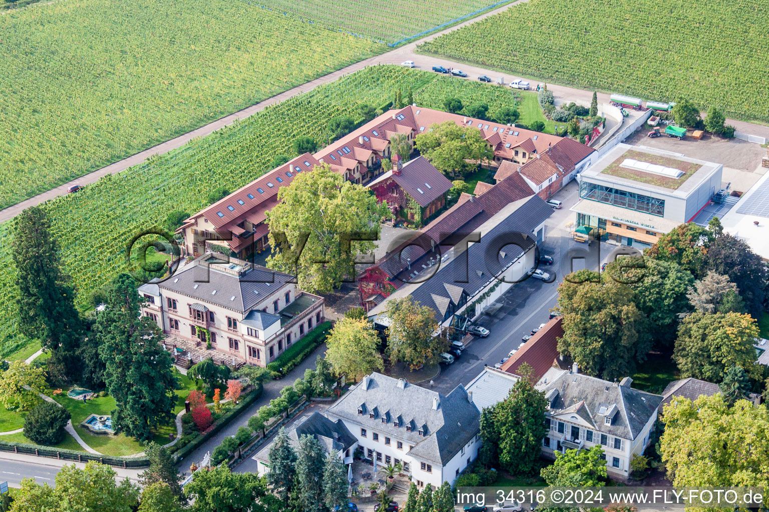 Luftaufnahme von Gebäude und Parkanlagen am Weingut Dr. Bürklin-Wolf in Wachenheim an der Weinstraße im Bundesland Rheinland-Pfalz, Deutschland