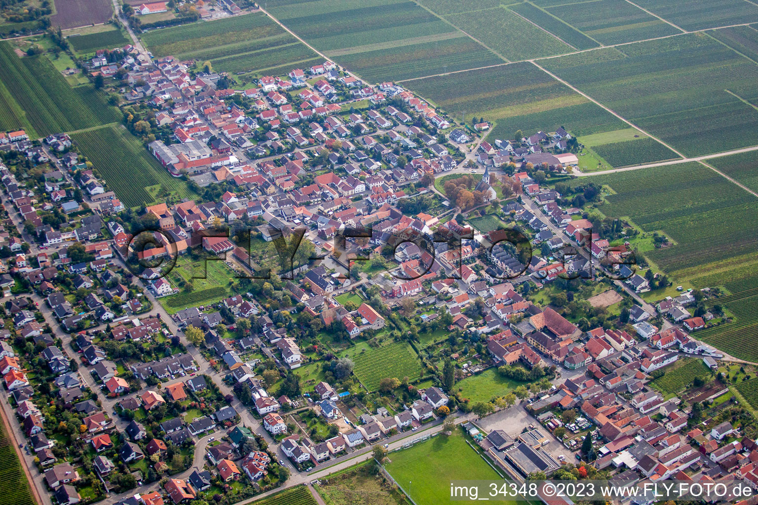 Friedelsheim im Bundesland Rheinland-Pfalz, Deutschland aus der Luft betrachtet