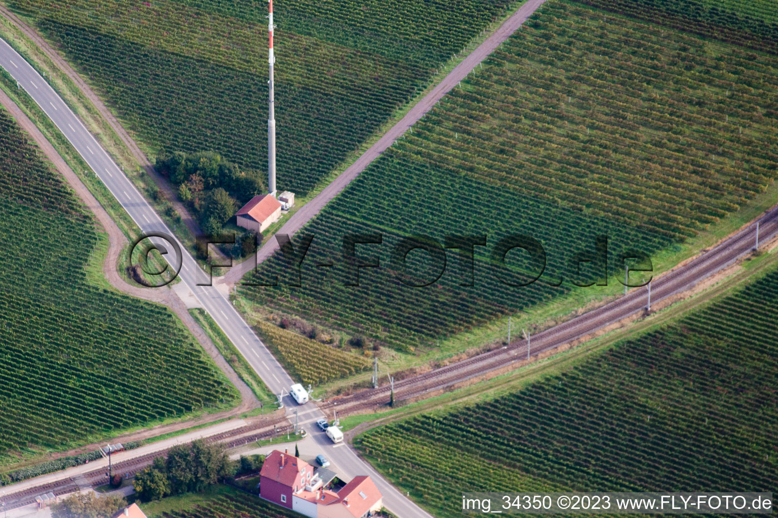 Drohnenbild von Friedelsheim im Bundesland Rheinland-Pfalz, Deutschland