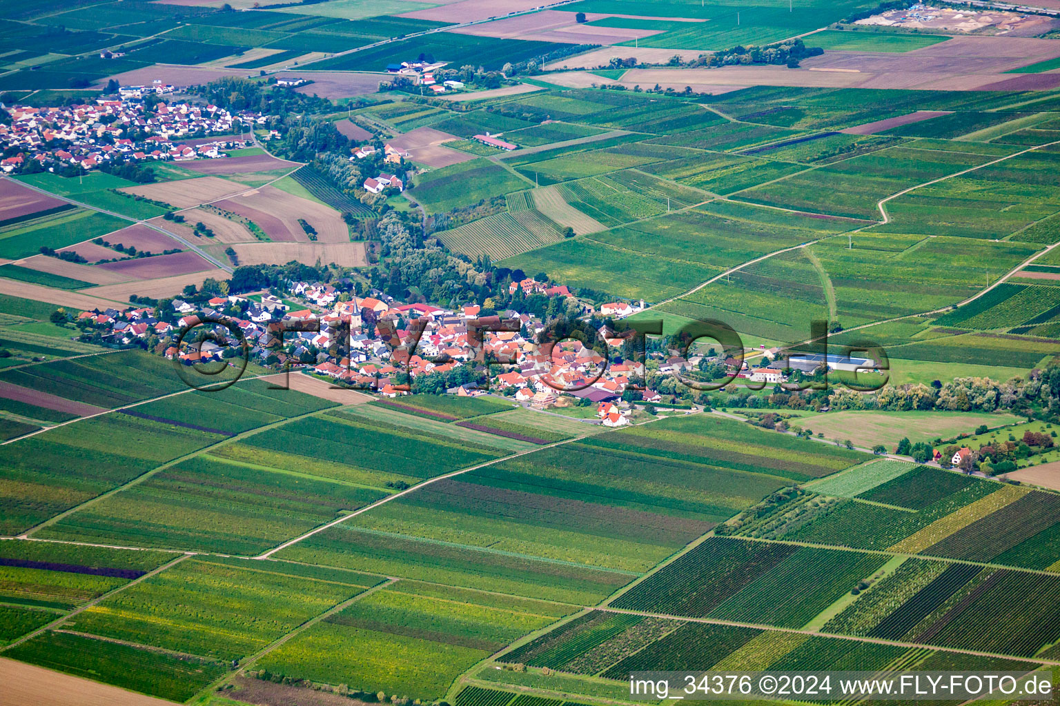 Dorf - Ansicht von Sausenheim in Bissersheim im Bundesland Rheinland-Pfalz, Deutschland