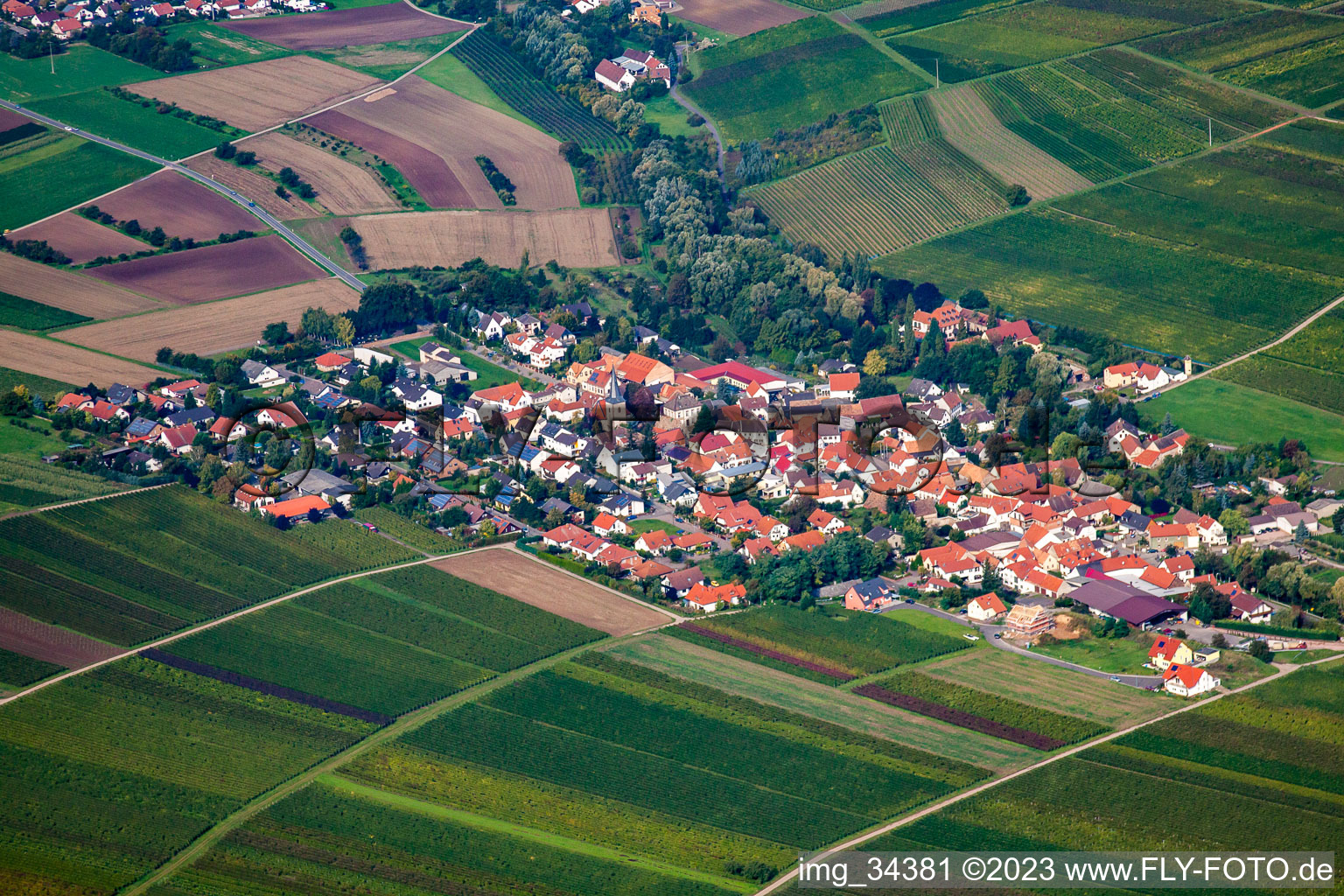 Luftaufnahme von Dorf - Ansicht von Sausenheim in Bissersheim im Bundesland Rheinland-Pfalz, Deutschland