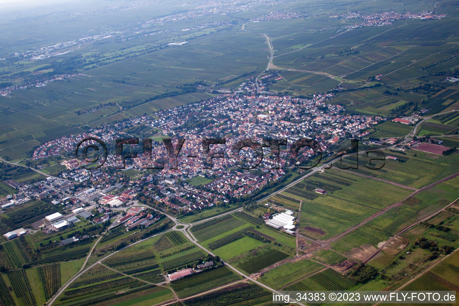 Luftaufnahme von Freinsheim im Bundesland Rheinland-Pfalz, Deutschland