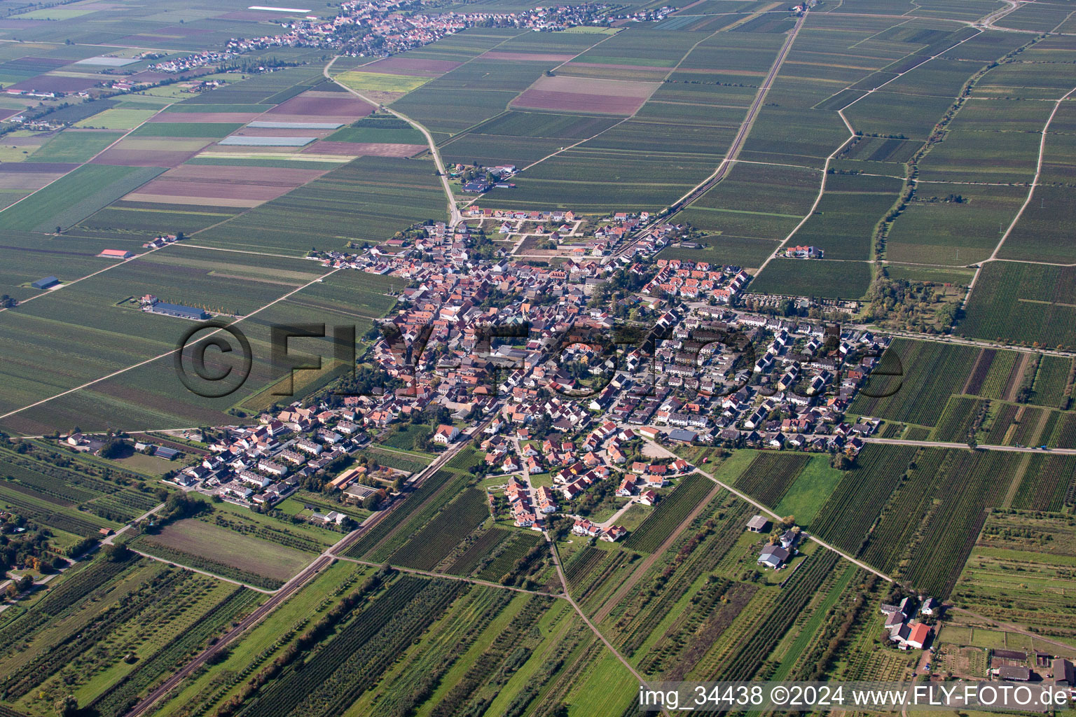 Luftbild von Dorf - Ansicht am Rande von landwirtschaftlichen Feldern und Nutzflächen in Fußgönheim im Bundesland Rheinland-Pfalz, Deutschland