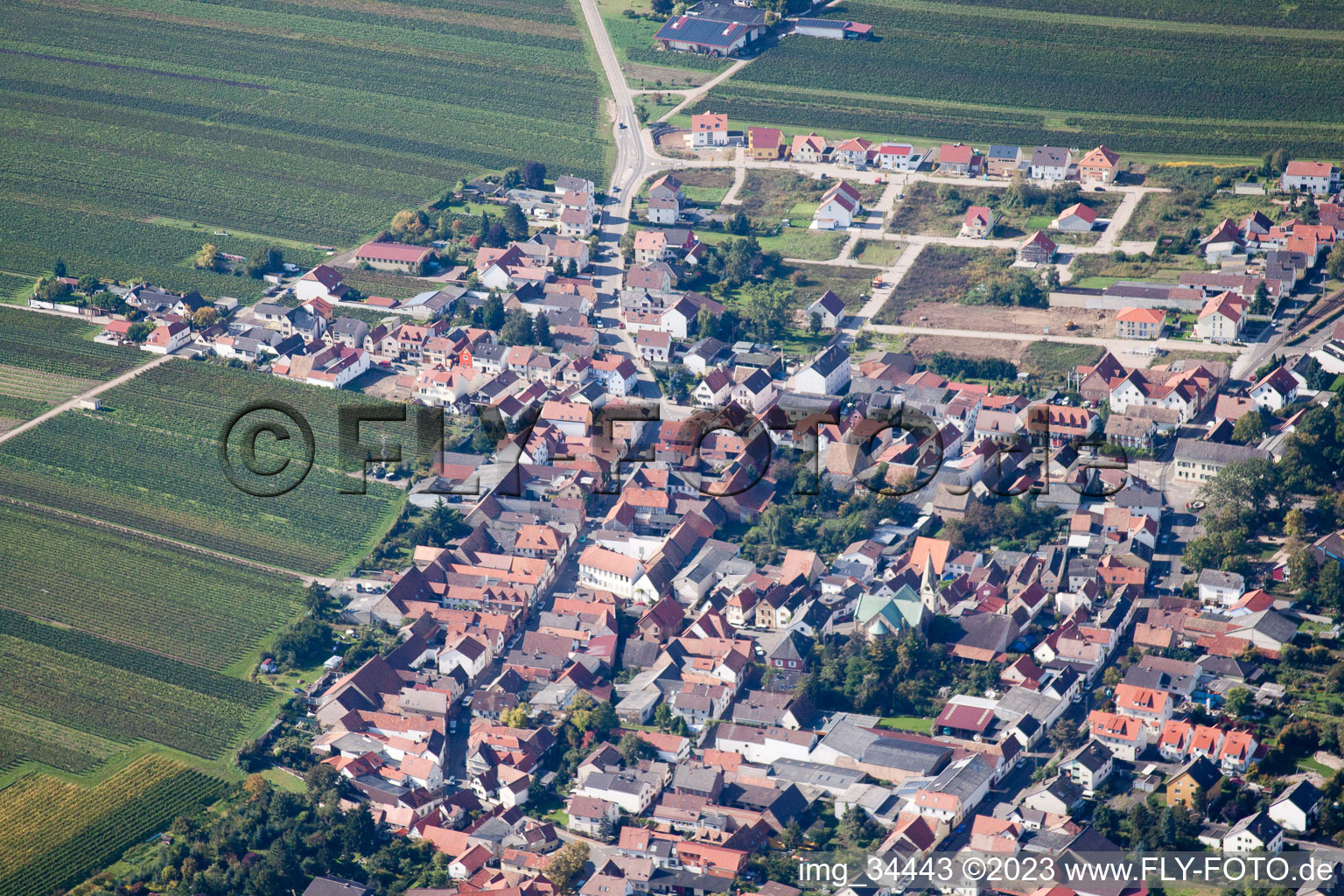 Fußgönheim im Bundesland Rheinland-Pfalz, Deutschland von der Drohne aus gesehen