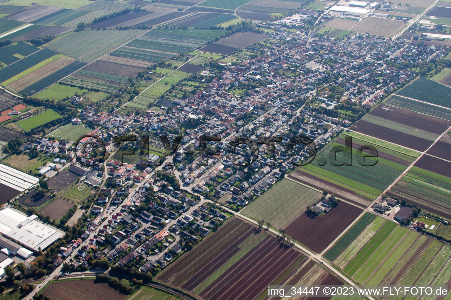 Schrägluftbild von Fußgönheim im Bundesland Rheinland-Pfalz, Deutschland