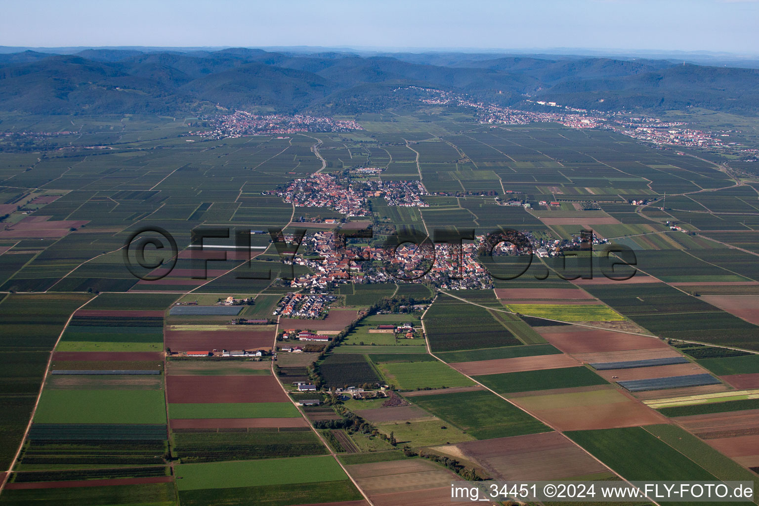 Luftbild von Dorf - Ansicht am Rande von landwirtschaftlichen Feldern und Nutzflächen in Gönnheim im Bundesland Rheinland-Pfalz, Deutschland