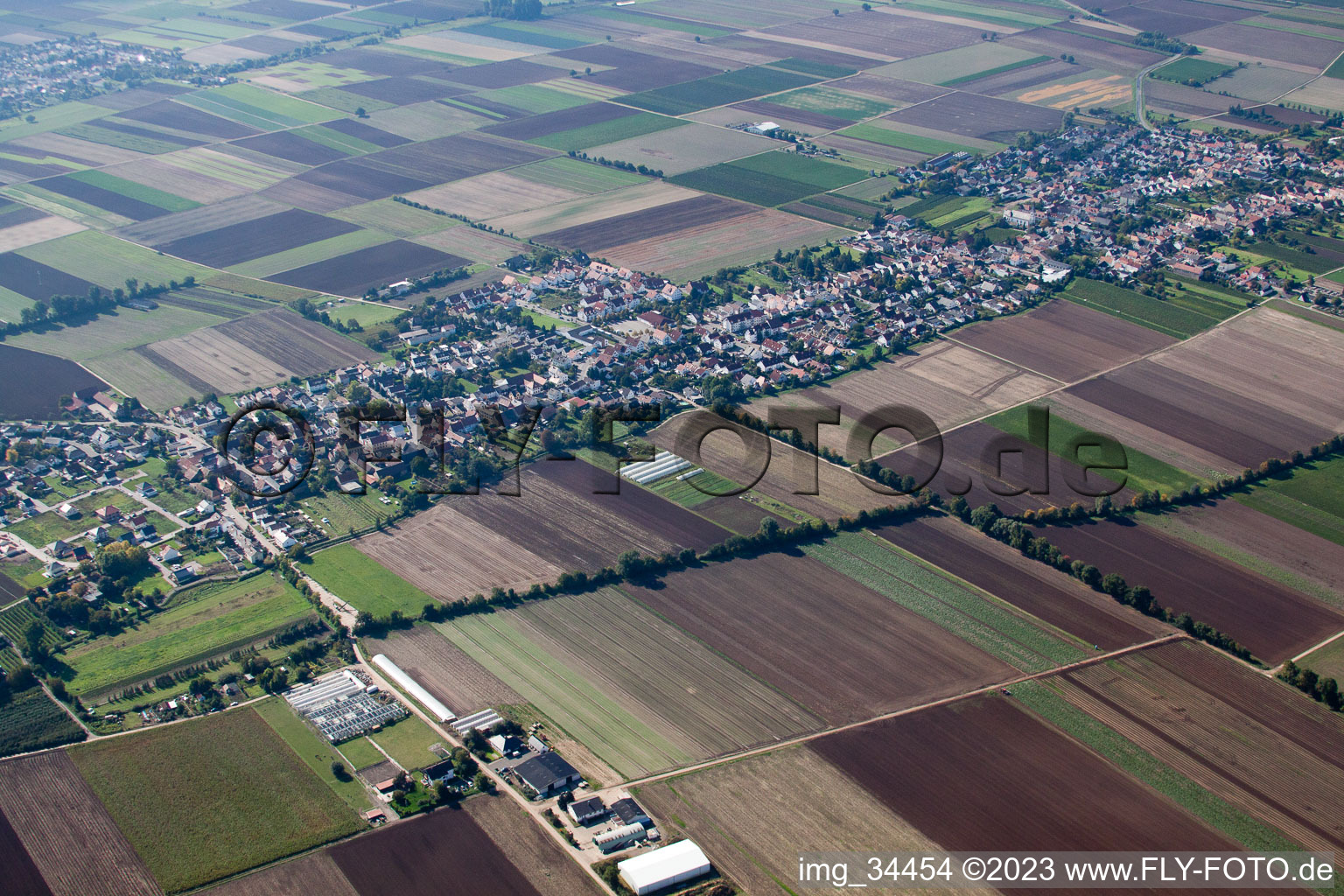 Alsheim-Gronau im Bundesland Rheinland-Pfalz, Deutschland vom Flugzeug aus