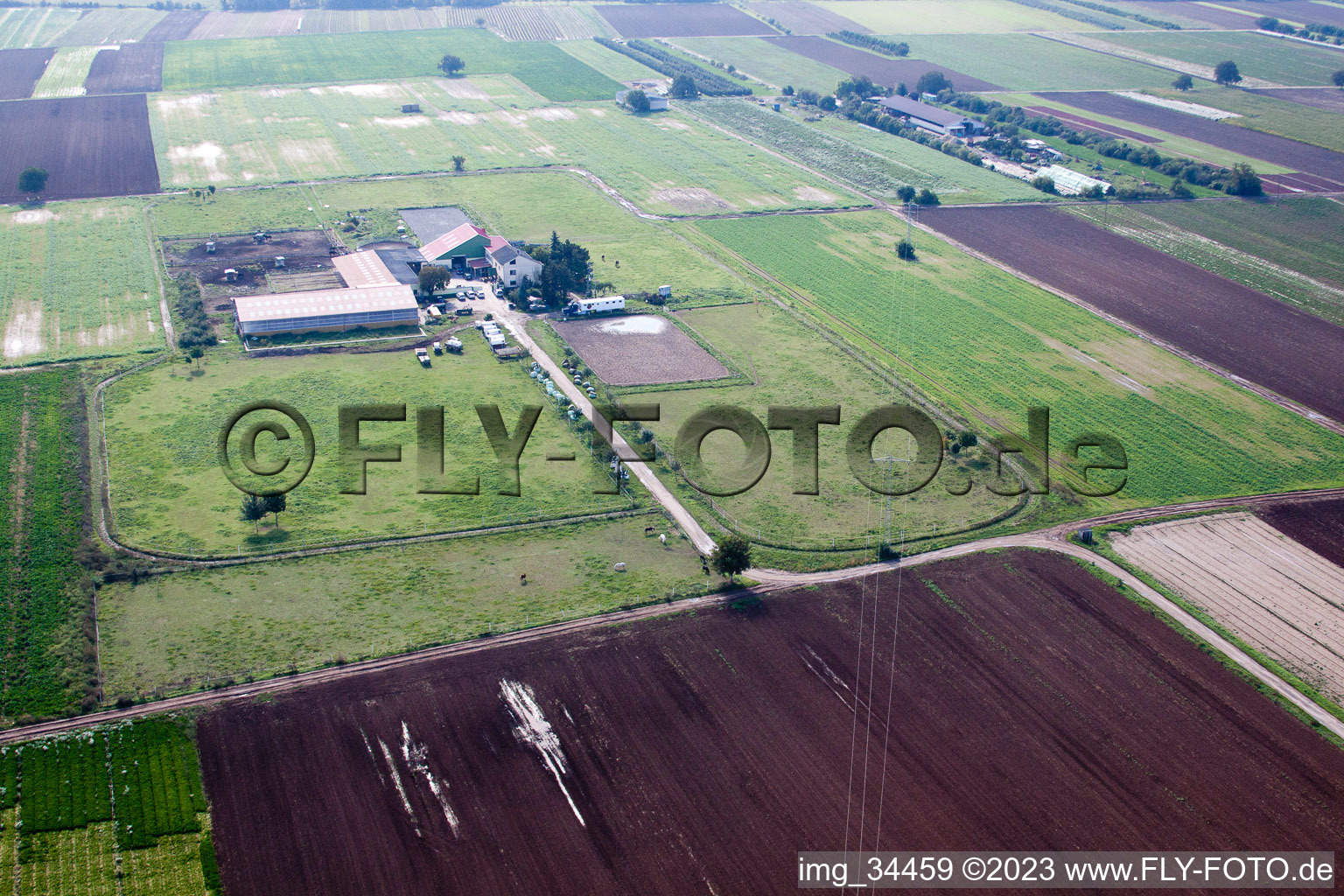 Hochdorf-Assenheim im Bundesland Rheinland-Pfalz, Deutschland von einer Drohne aus