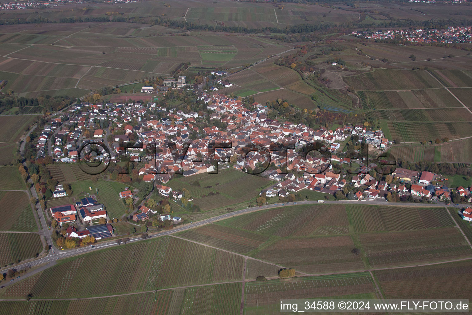 Dorf - Ansicht am Rande von landwirtschaftlichen Feldern und Nutzflächen in Ilbesheim bei Landau in der Pfalz im Bundesland Rheinland-Pfalz, Deutschland