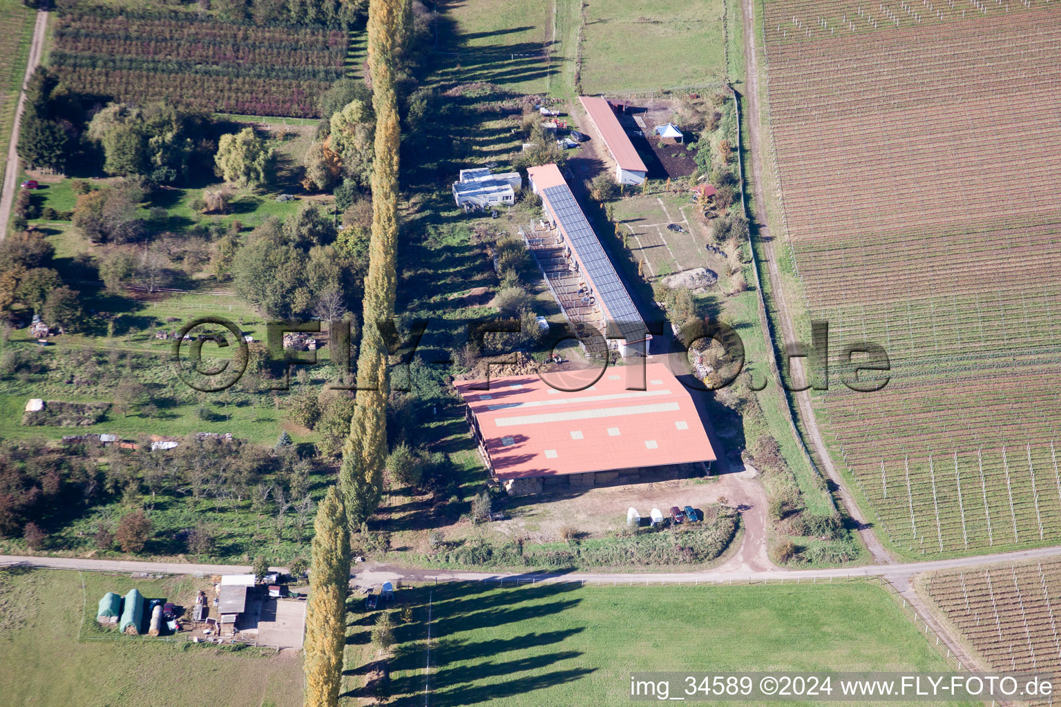 An der Ahlmühle in Ilbesheim bei Landau in der Pfalz im Bundesland Rheinland-Pfalz, Deutschland aus der Luft betrachtet