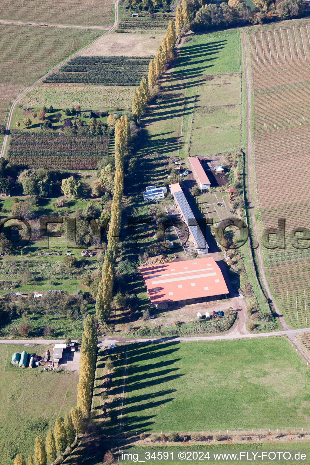 Drohnenaufname von An der Ahlmühle in Ilbesheim bei Landau in der Pfalz im Bundesland Rheinland-Pfalz, Deutschland