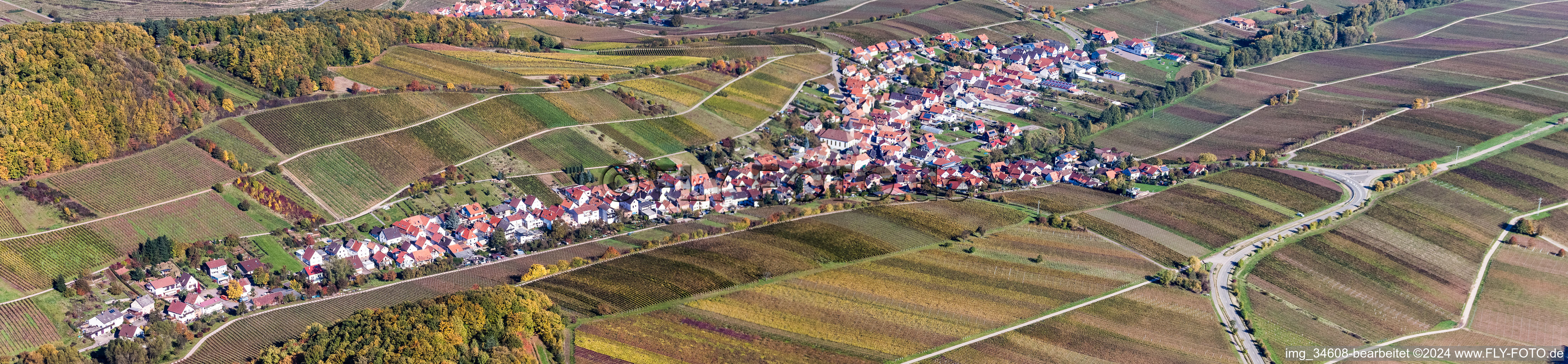 Panorama - Perspektive Dorf - Ansicht zwischen Weinbergen in Ranschbach im Bundesland Rheinland-Pfalz, Deutschland