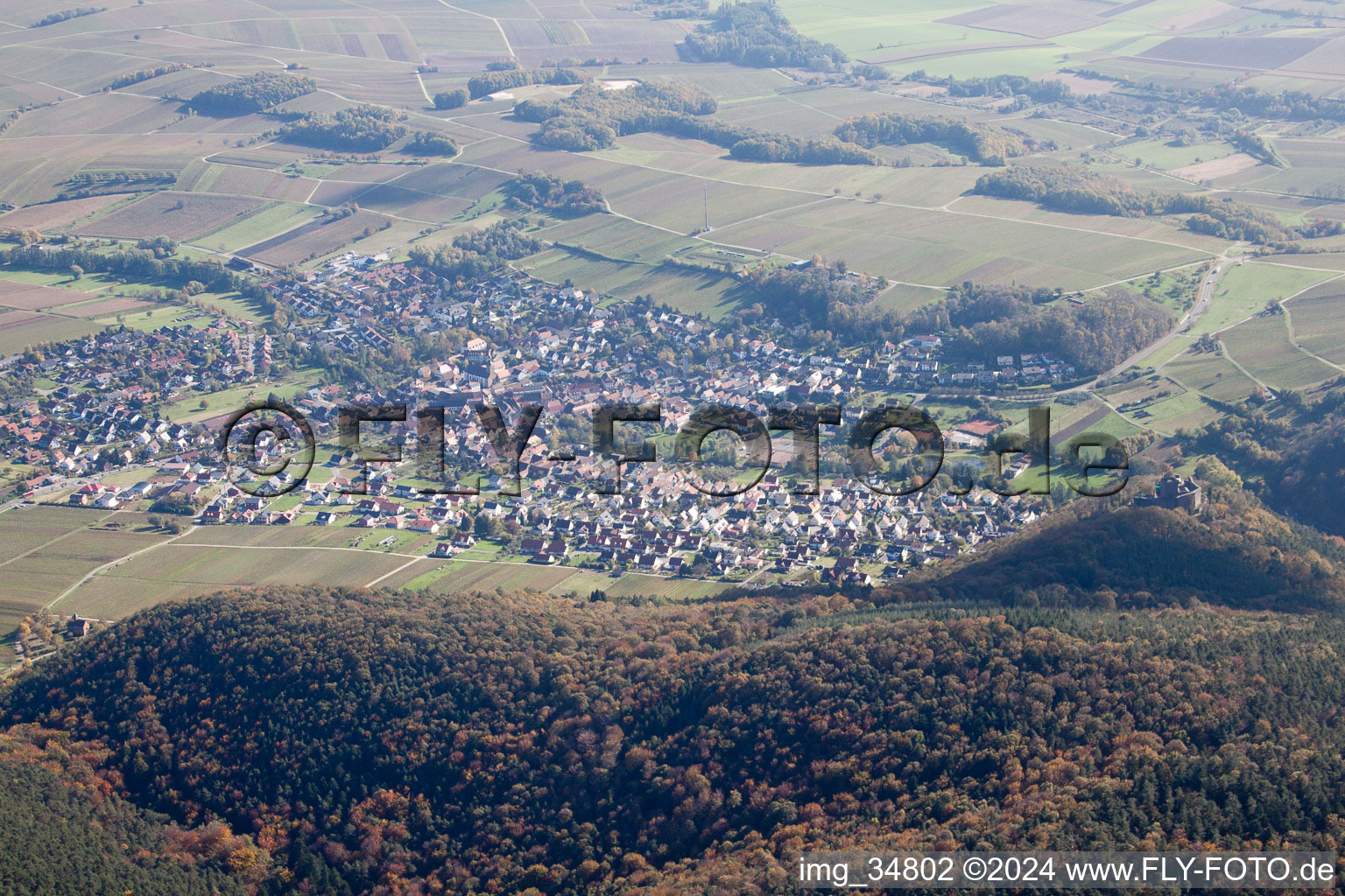 Klingenmünster im Bundesland Rheinland-Pfalz, Deutschland aus der Luft