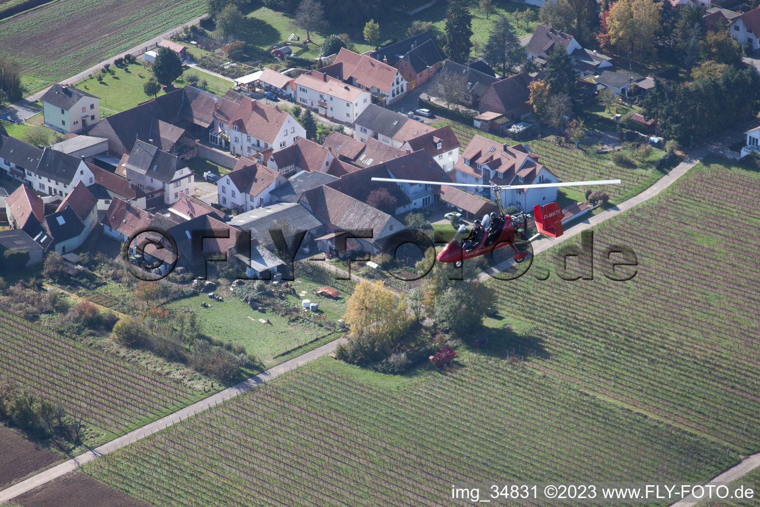 Niederhorbach im Bundesland Rheinland-Pfalz, Deutschland aus der Drohnenperspektive