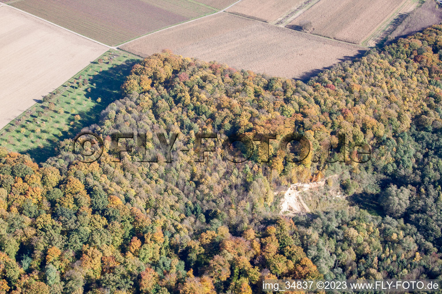 Luftbild von Barbelroth, Sandgrube im Wald im Bundesland Rheinland-Pfalz, Deutschland