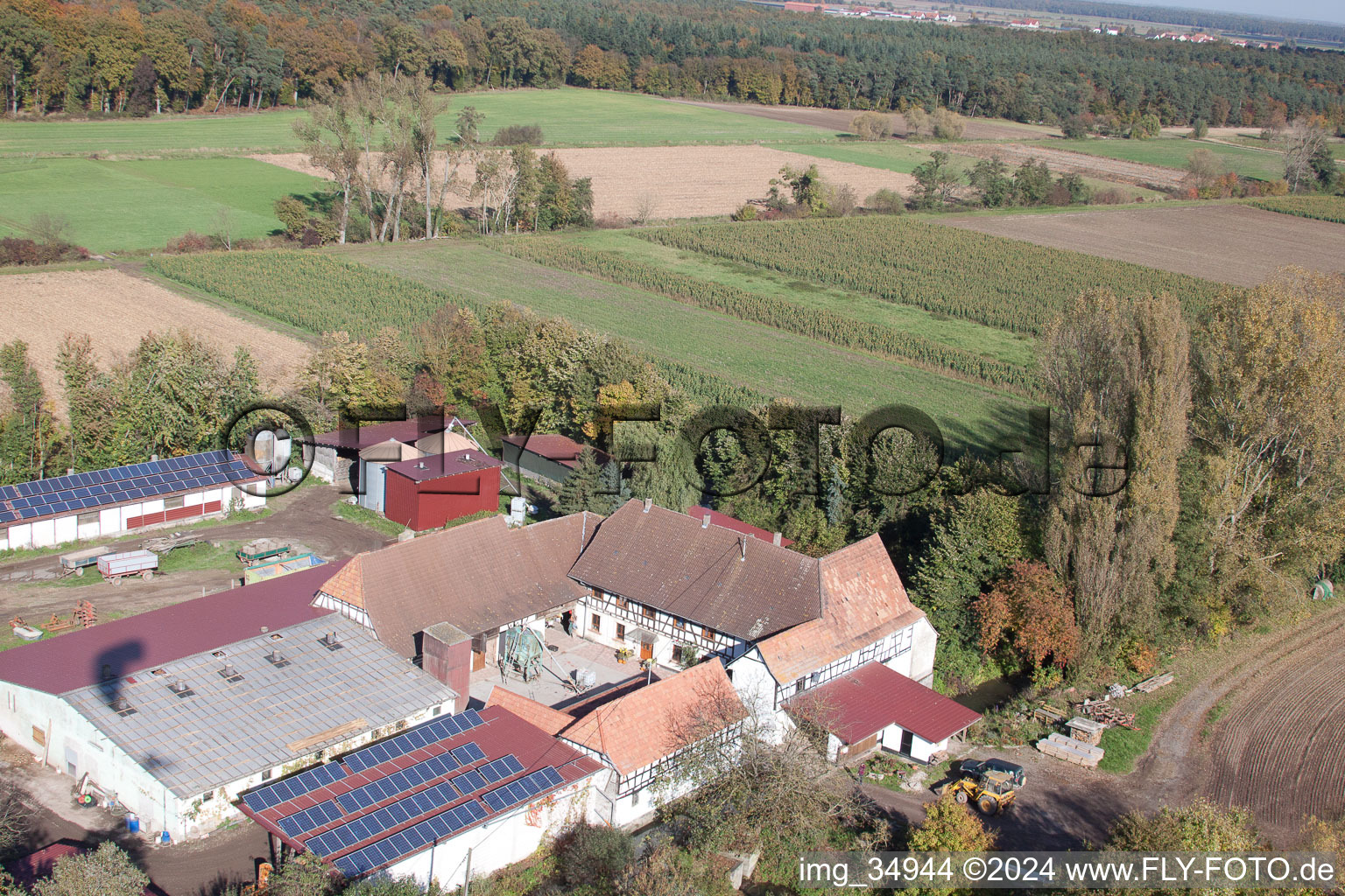 Leistenmühle in Erlenbach bei Kandel im Bundesland Rheinland-Pfalz, Deutschland aus der Luft