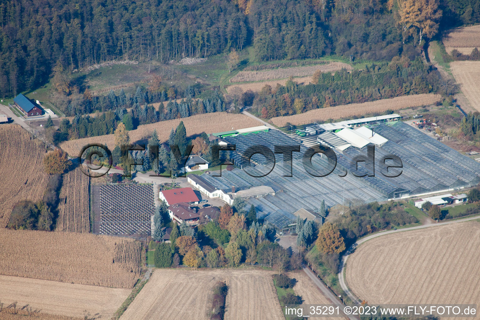 Luftbild von Hagenbach, Geranien Endisch GmbH im Bundesland Rheinland-Pfalz, Deutschland