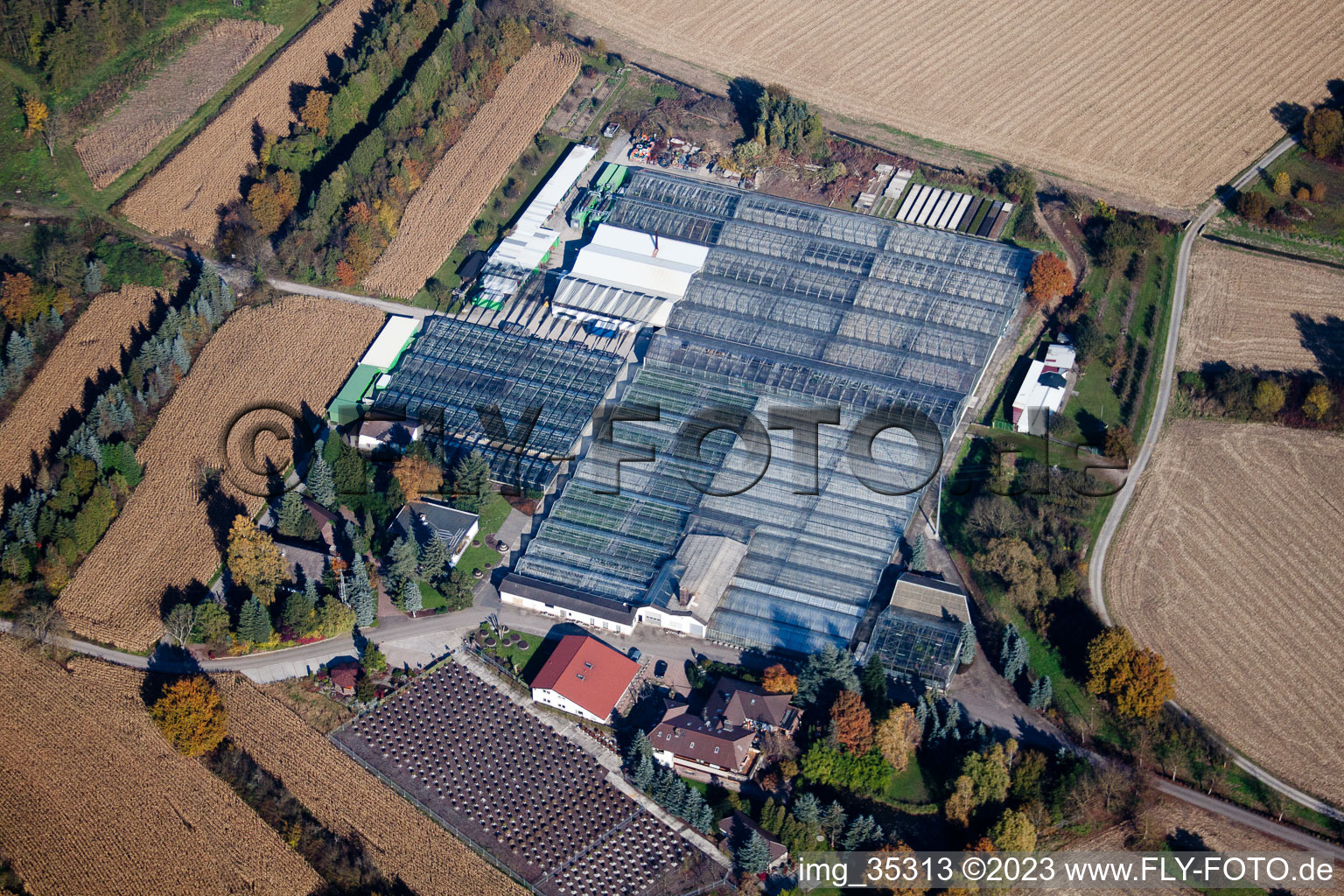 Hagenbach, Geranien Endisch GmbH im Bundesland Rheinland-Pfalz, Deutschland aus der Luft