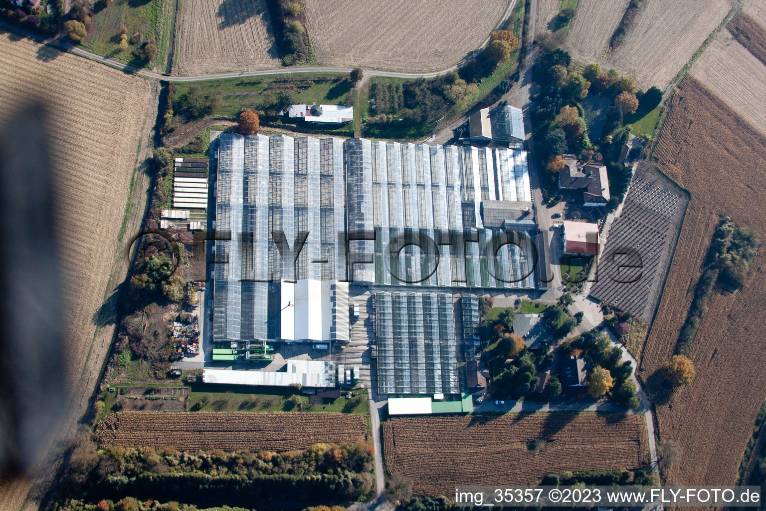 Hagenbach, Geranien Endisch GmbH im Bundesland Rheinland-Pfalz, Deutschland aus der Luft betrachtet