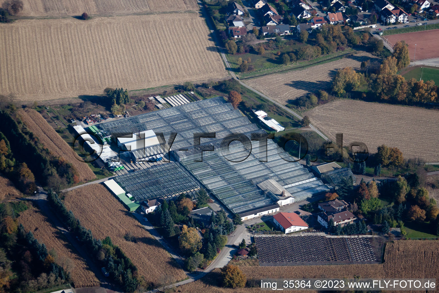 Drohnenbild von Hagenbach, Geranien Endisch GmbH im Bundesland Rheinland-Pfalz, Deutschland