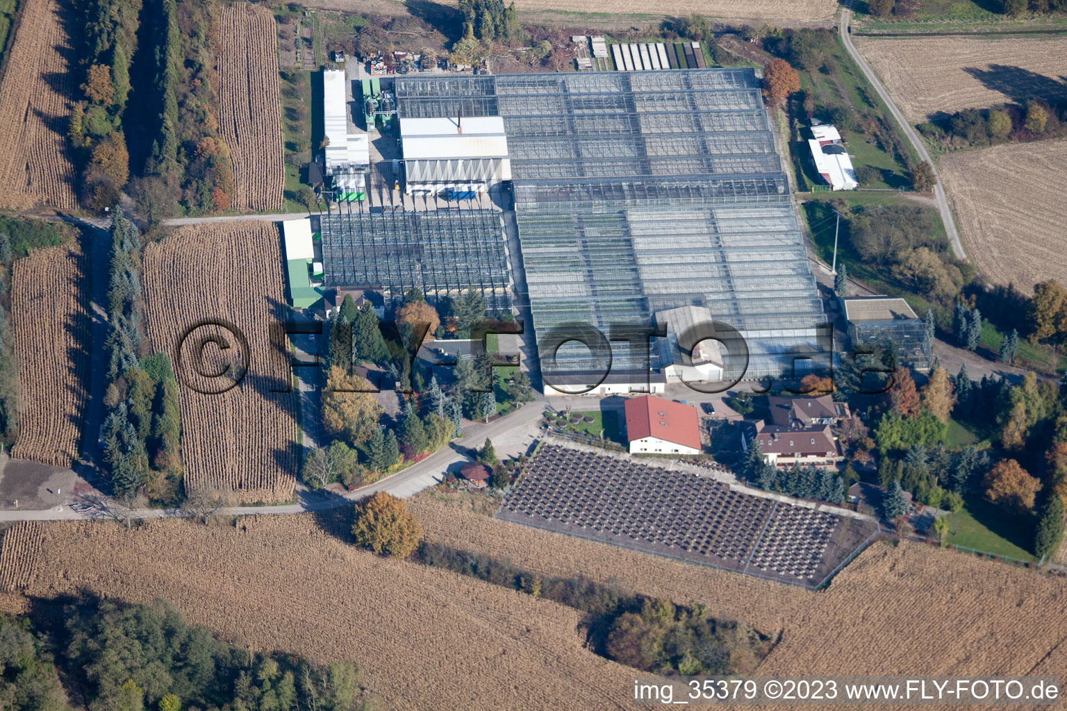 Hagenbach, Geranien Endisch GmbH im Bundesland Rheinland-Pfalz, Deutschland aus der Drohnenperspektive