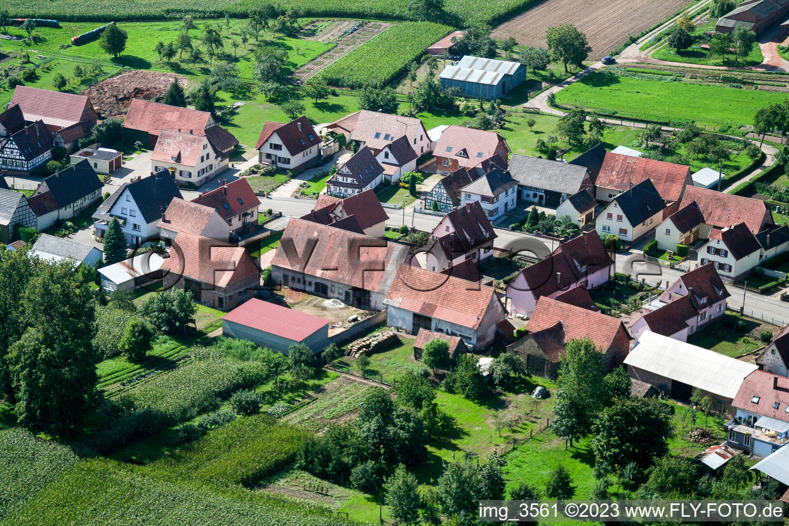 Schrägluftbild von Schleithal im Bundesland Bas-Rhin, Frankreich