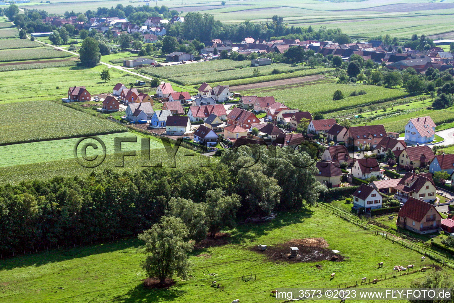 Niederlauterbach(Elsass) im Bundesland Bas-Rhin, Frankreich von oben gesehen