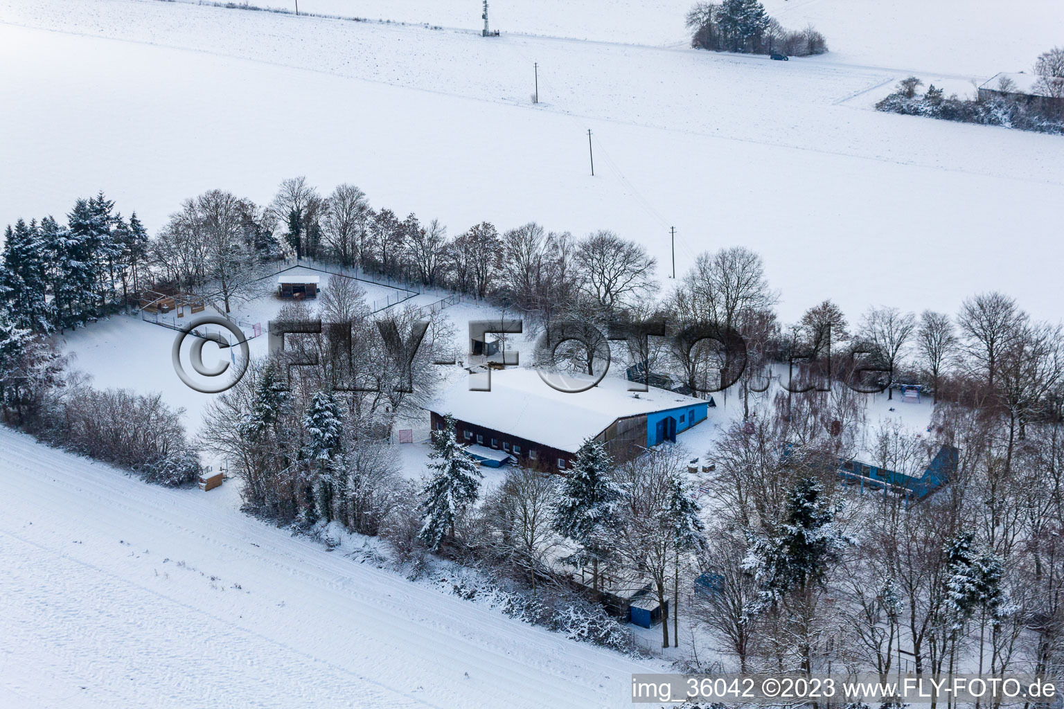Luftbild von Minfeld, Hundepension im Bundesland Rheinland-Pfalz, Deutschland
