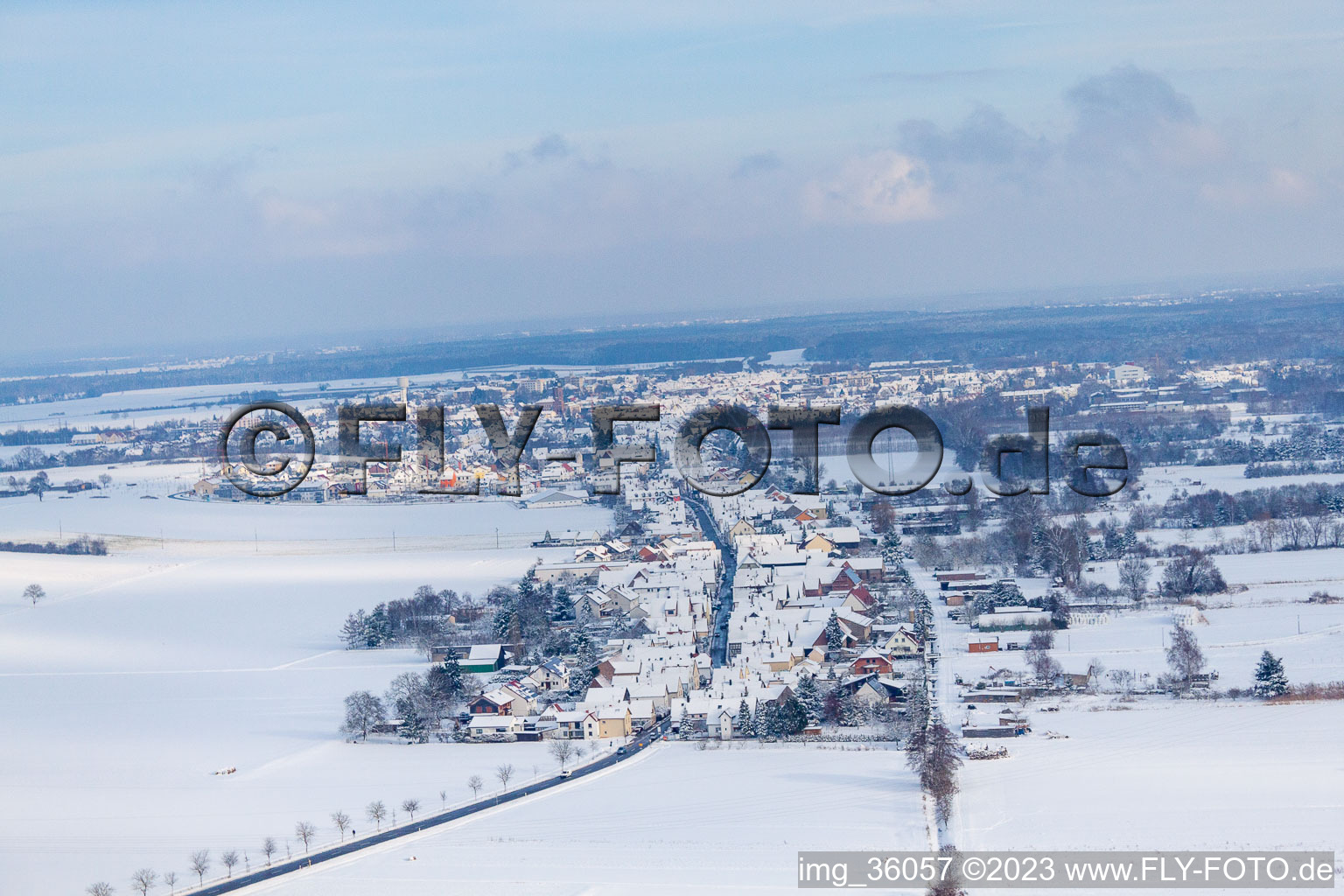 Im Schnee in Minfeld im Bundesland Rheinland-Pfalz, Deutschland
