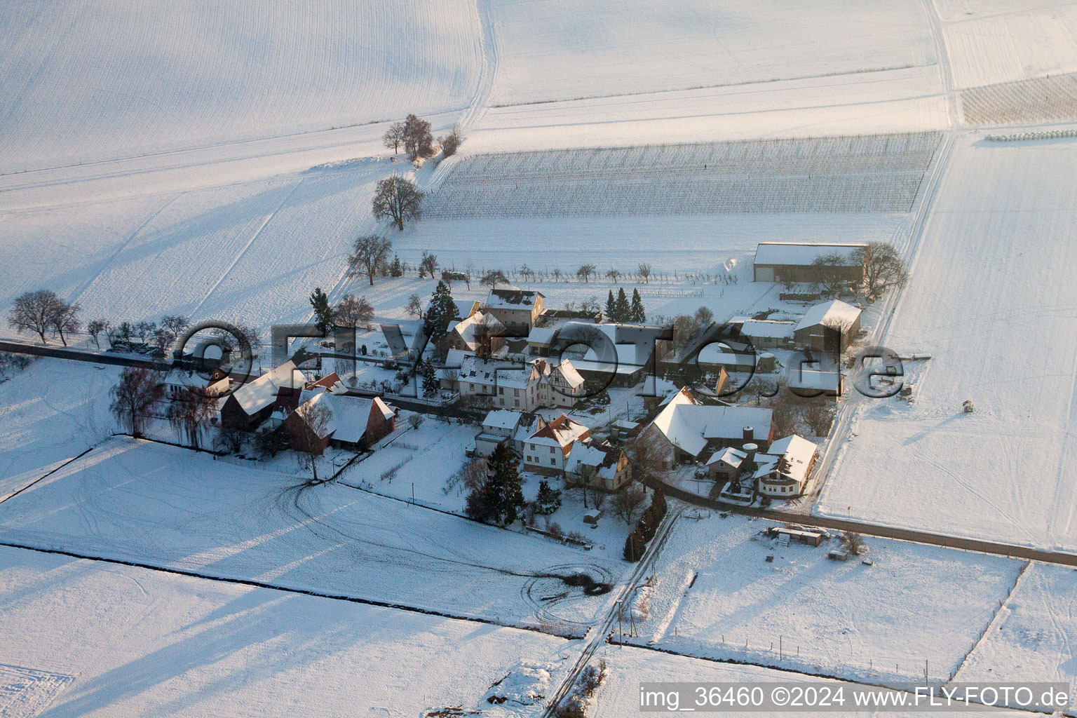 Winterlich schneebedeckte Drehbare Photovoltaikanlage auf einem Stall im Ortsteil Deutschhof in Kapellen-Drusweiler im Bundesland Rheinland-Pfalz, Deutschland