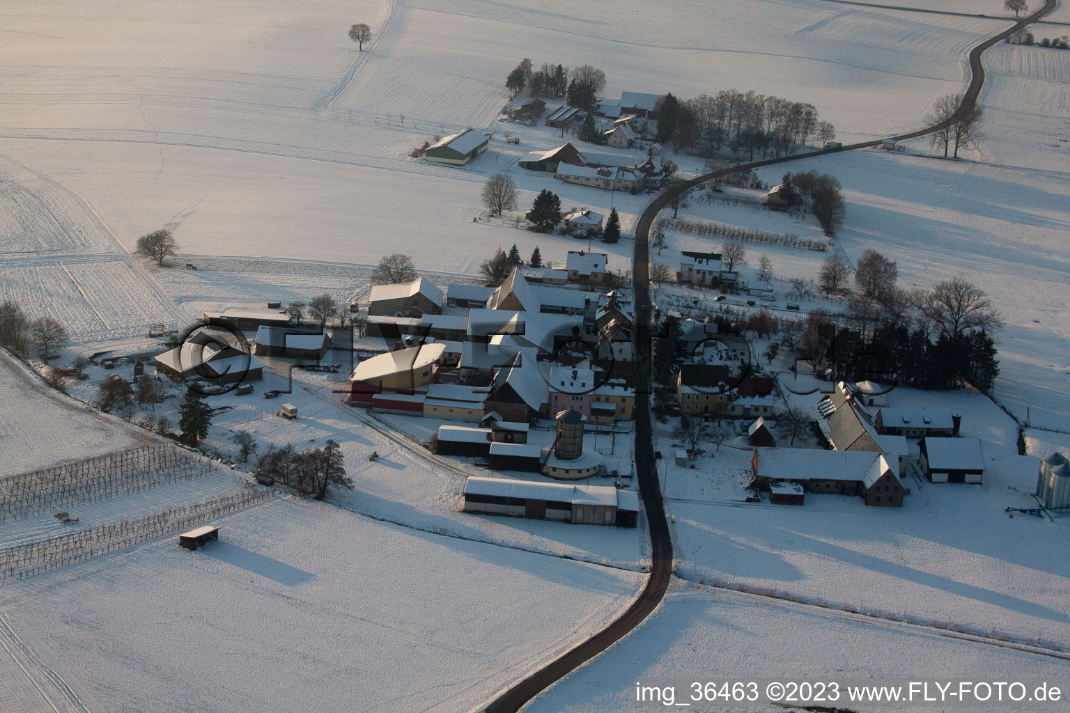 Deutschhof im Bundesland Rheinland-Pfalz, Deutschland aus der Luft betrachtet